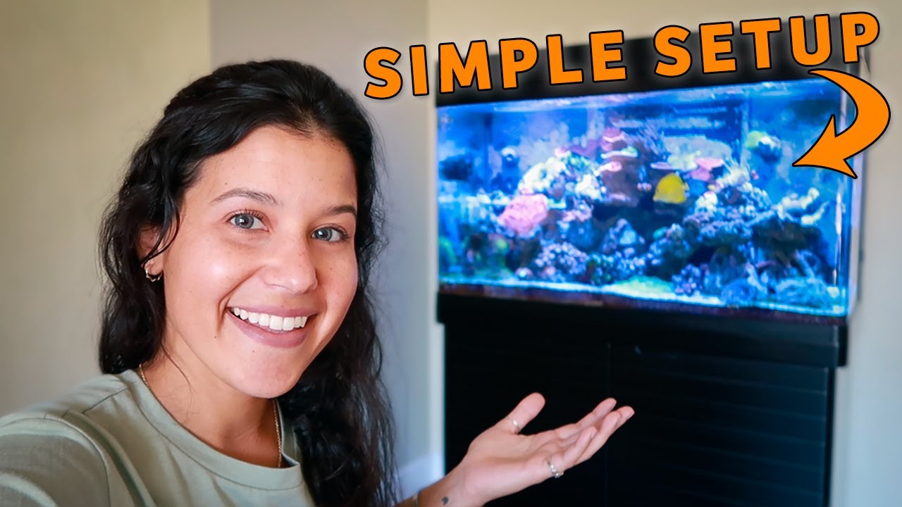 Reef Tank Tour | Red Sea Max 250 *NO SKIMMER*