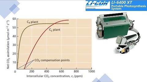 Practical: LiCOR LI-6400XT CO2 Response Curve / A-Ci Curve Part 2 of 2