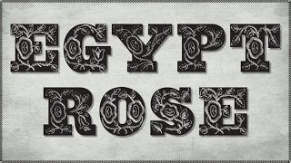 Effra font download