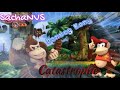 La pire vido de donkey kong  on fait nimporte quoi