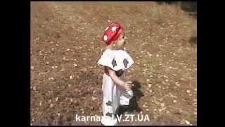 Костюм Гриба Мухомора прокат Житомир(, 2015-11-07T18:52:14.000Z)