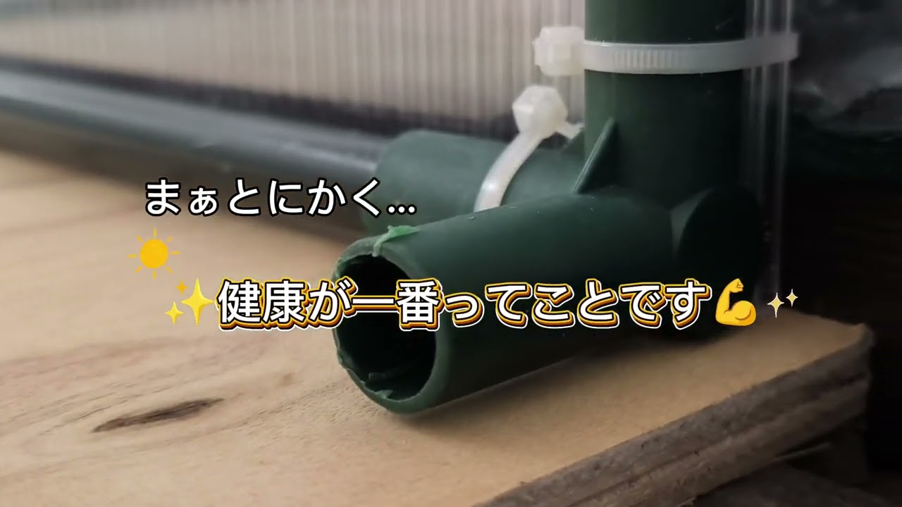 #51『温室の中のラック交換と配置替え』