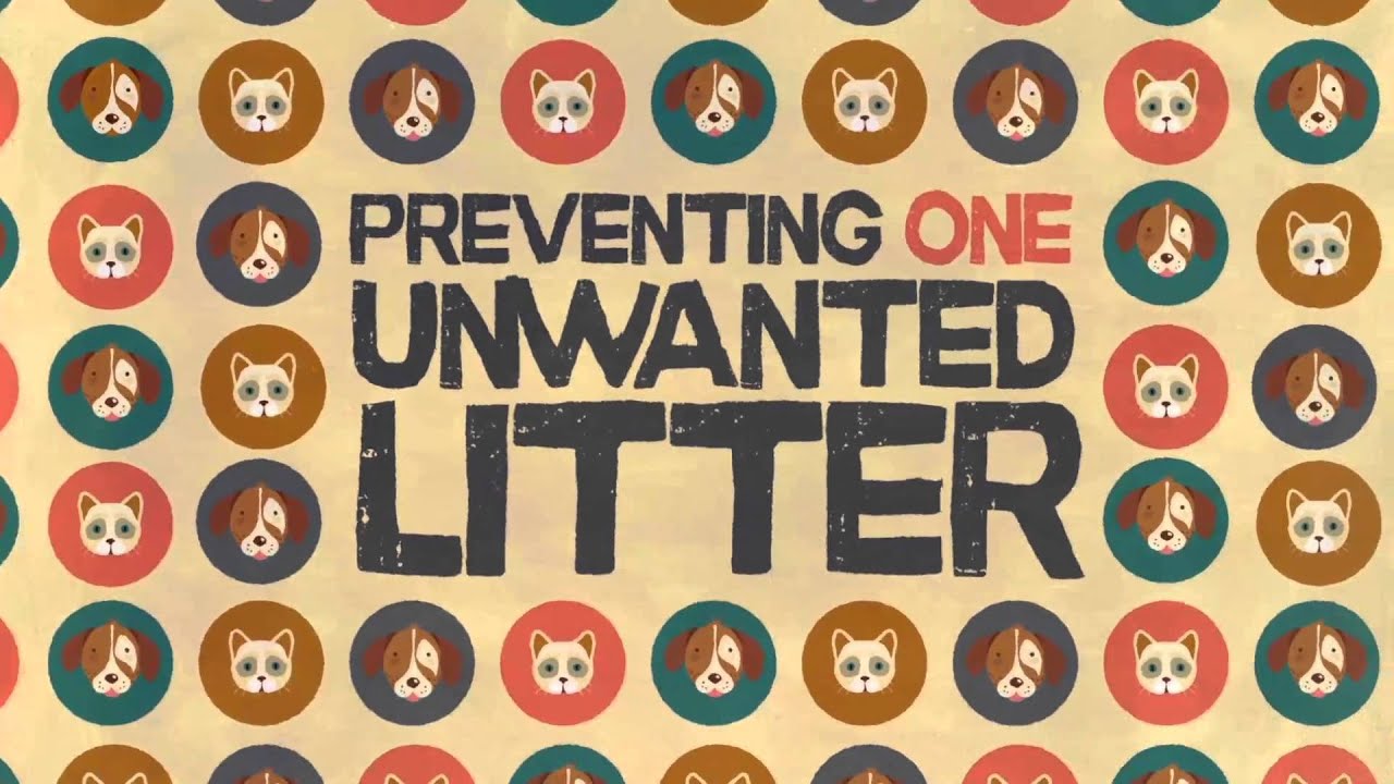 Operation Wanted Full - An initiative of RSPCA Qld