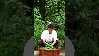 Traditional Homemade Alchemy | Forging the "Emerald Tofu Matrix" from Wild Leaves 🌿🧊🔥 Profile