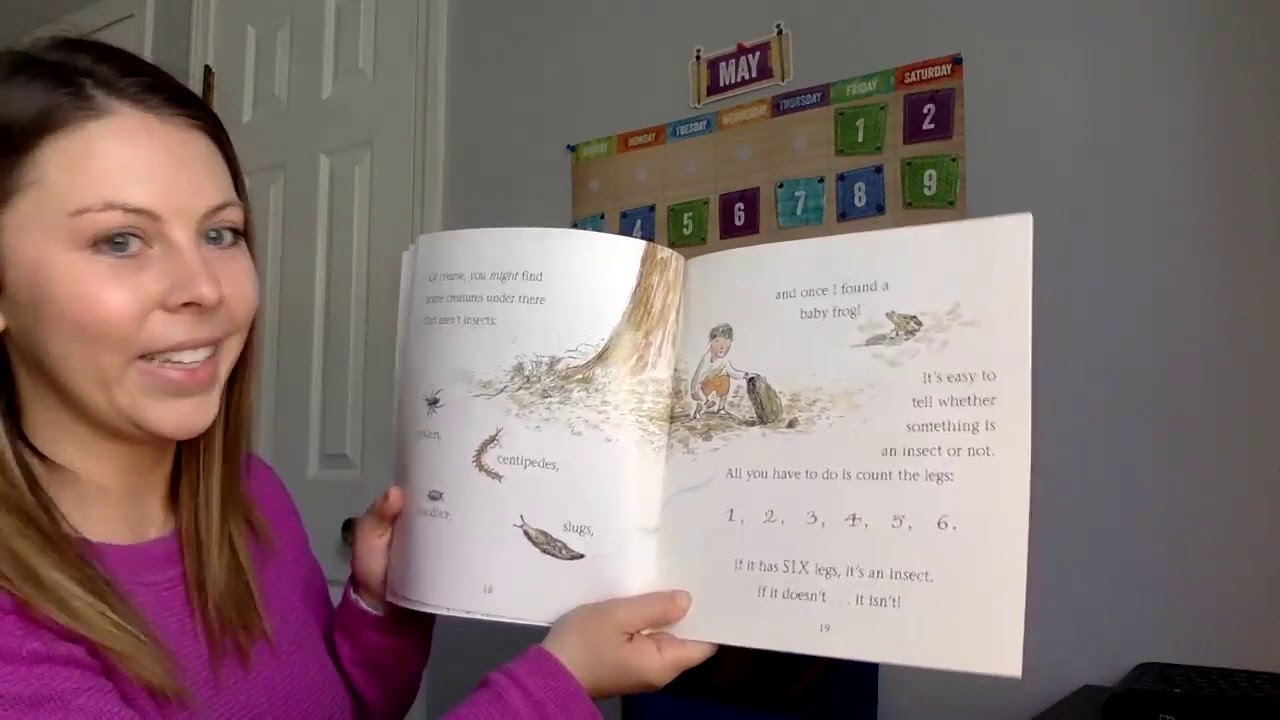 Insect Detective Read Aloud & Activity