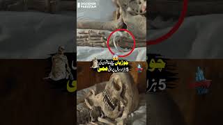 5000 Years Old Mummy At Harappa Museum Discover Stan Shorts