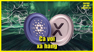 Cá voi ADA và XRP ồ ạt xả hàng, BlackRock BUIDL chính thức vào hệ sinh thái Binance