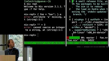 Domen Kožar - hnix (NixCon 2018)