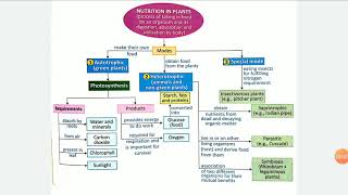 Nutrition in plants