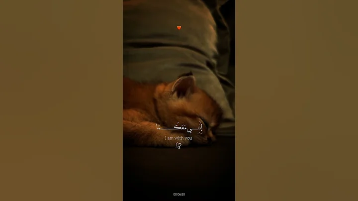 اكتب شيء تؤجر عليه ❤😴+ استخدموا الصوت ❤🙂