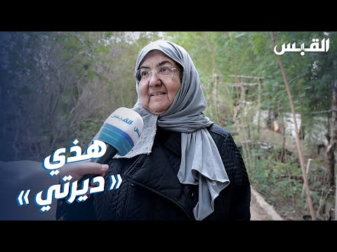 القبس تلتقي مع أديبة وقصة محمية الشامية