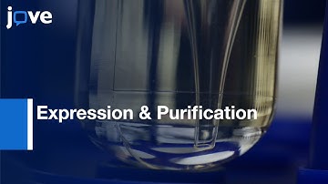 Expression & Purification: Virus-Like Particles For Vaccination l Protocol Preview