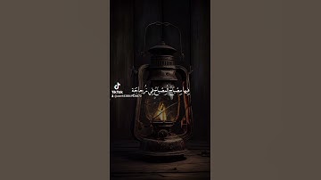 الله نور السماوات والأرض ، القارئ: محمد صديق المنشاوي 🤎