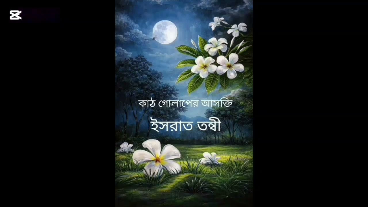 কাঠ গোলাপের আসক্তি/পর্ব-২৪,২৫/লেখনীতে -ইসরাত তন্বী 