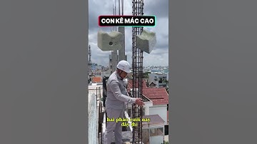 Con kê bê tông từ 15-100mm, mác cao | Shopee: https://vn.shp.ee/tWLdFqP | 📞 0949166432