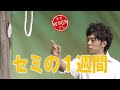 陣内智則【コント セミの1週間】 の動画、YouTube動画。