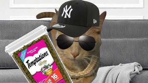 Telly The Cat - Catnip (Official Music Video) (prod. OFFSNEAK)