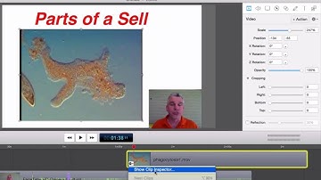 Insert video into ScreenFlow