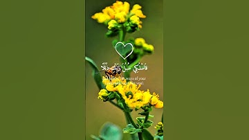 القرآن الكريم/سورة النحل #قرآن #قران_كريم #ياسر_الدوسري