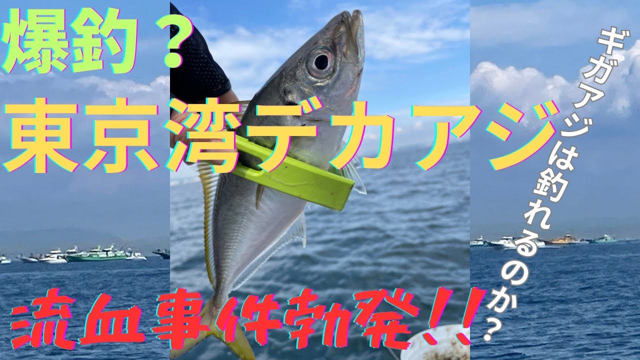 【爆釣】東京湾デカアジに挑戦！船上流血事件勃発？