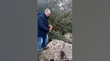 طريقة سرية ومجربة للعثور على الكنوز تحت الارض 