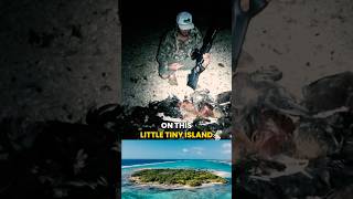 Chicken hunting on small island