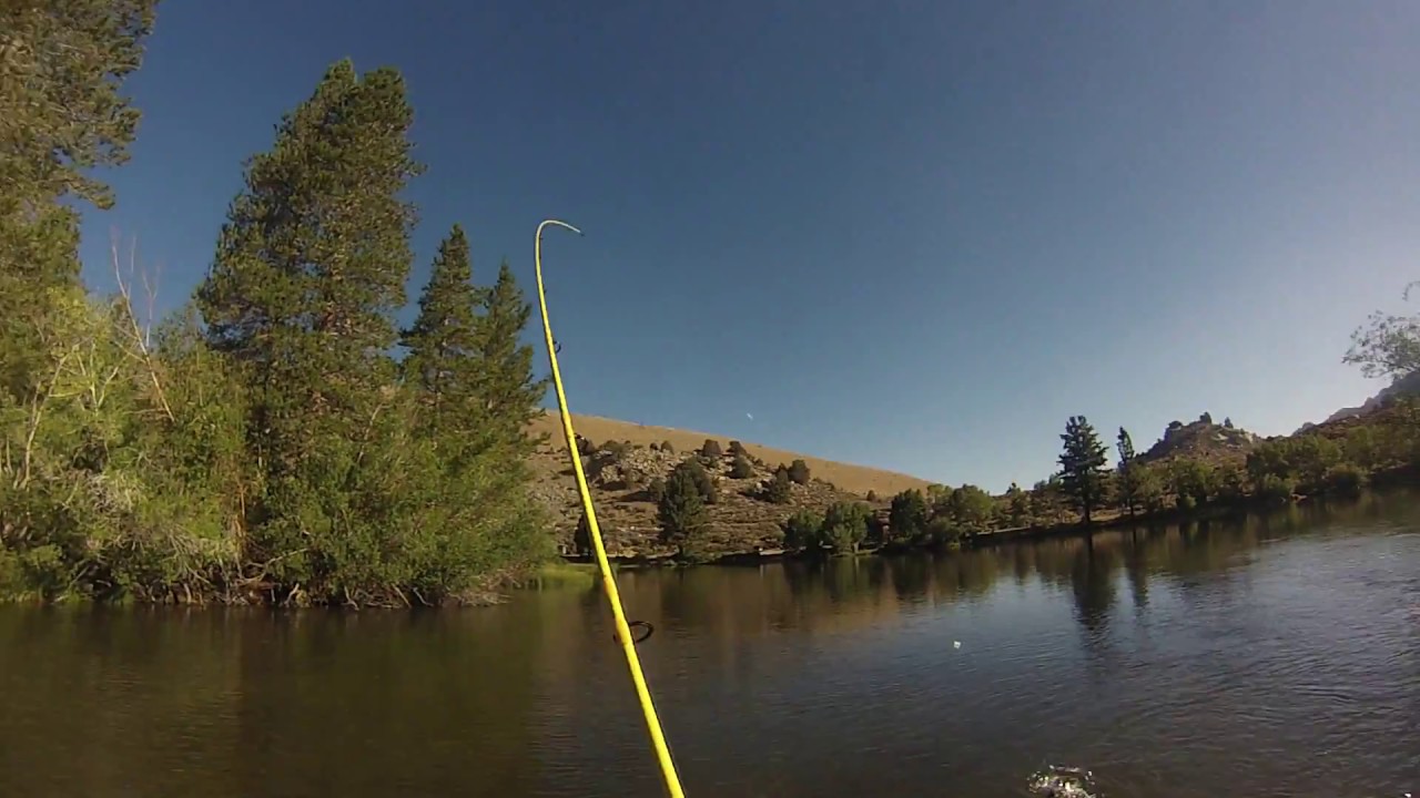 Trout Fishing Intake2 Ca 2014 YouTube
