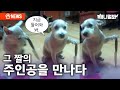 최초공개 화제의 짤 주인공 새 개인기 선보여ㅣSBS뉴스멀봐 2024 03 29 Doggo That Went VIRAL Shows Off New Skillz 최초공개 화제의 짤 주인공 새 개인기 선보여ㅣSBS뉴스멀봐 2024 03 29 Doggo That Went VIRAL Shows Off New Skillz