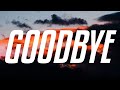 Joel Adams - Goodbye (lyrics)