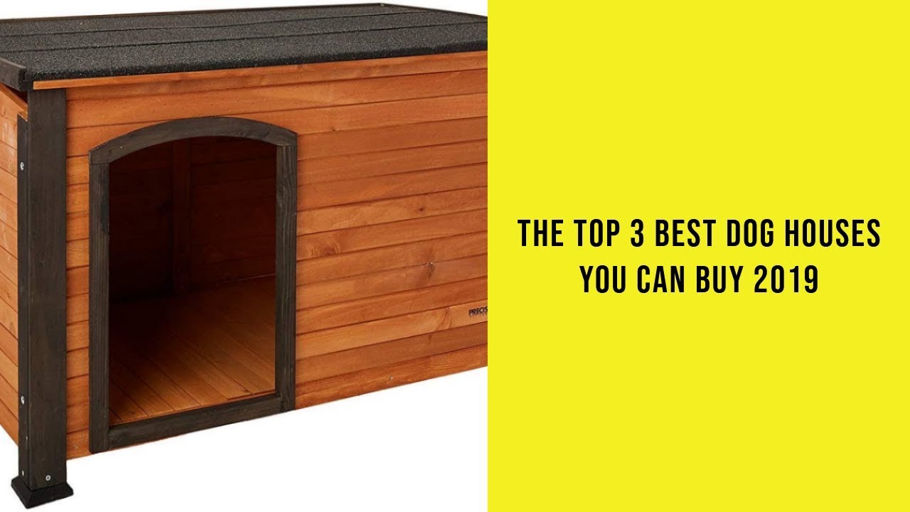 The Top 3 Best Dog Houses You Can Buy 2019
