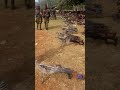 Jajjabdu Abdii Sabaa Mee Dhaggeffadha Jajjabdu Abdii Sabaa Mee Dhaggeffadha