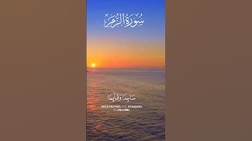 سورة الزمر| القارئ الشيخ ناصر القطامي