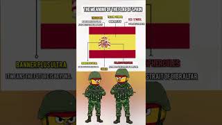 The meaning of the flag of Spain #100kvews #history #geography #countryballs #country#map #edit#flag