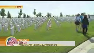 Flags on Graves at Veterans Cemetery Pt. 2