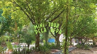 MINI TUOR PELA UFPA - UNIVERSIDADE FEDERAL DO PARÁ✨