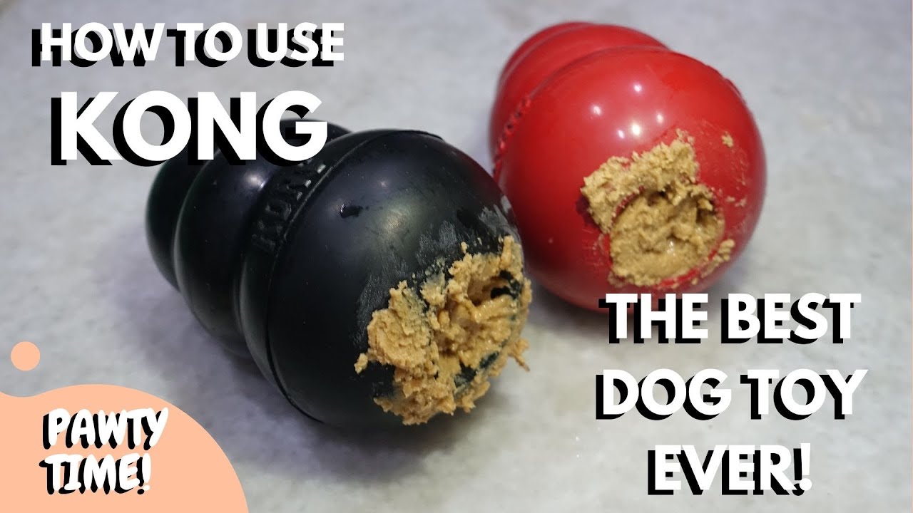 KONG Dog Toy Review: A Must-Have