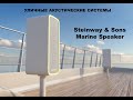 Steinway & Sons Marine Speaker - уличные акустические системы