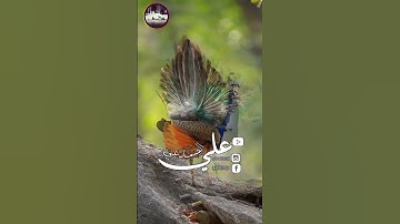 اذكار النوم
