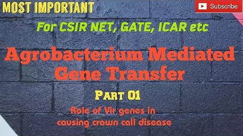 AGROBACTERIUM MEDIATED GENE TRANSFER NEET|GATE|CSIRNET|MSc|BSc|BOTANY|LIFESCIENCE