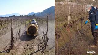 Agroline - Prvo Prskanje Vinove Loze Loze