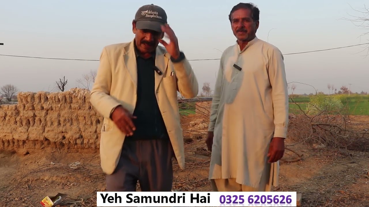 The Well and the pigeons.