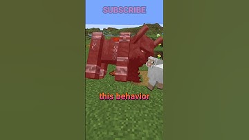 the WEIRDEST mob behavior?!?