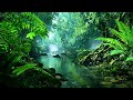 3 Hours Nature Sounds Waterfall River Relaxation for Deep Sleep & Meditation