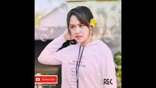 Happy asmara loro pikir||lirik