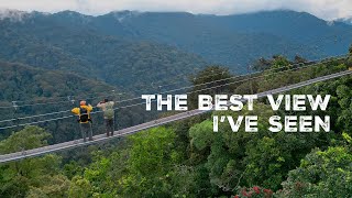 Hiking Through the Nyungwe National Park in Rwanda!