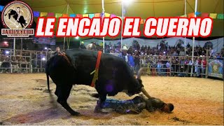 ¡¡LE ENCAJO EL CUERNO!! Rancho Las Cubatas En San Andres Totoltepec Mex 2016