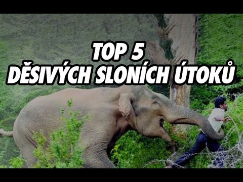 Video: Jak Snadné Je Ušít Plstěného Slona