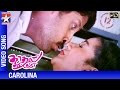 Kadhal Sadugudu Tamil Movie HD | Carolina Song | Vikram | Priyanka Trivedi | Prakash Raj | Deva