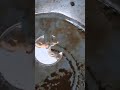 Water Tank Repair Services 9392323043 #watertankrepair #plasticwatertank #asmr #satisfying #waters