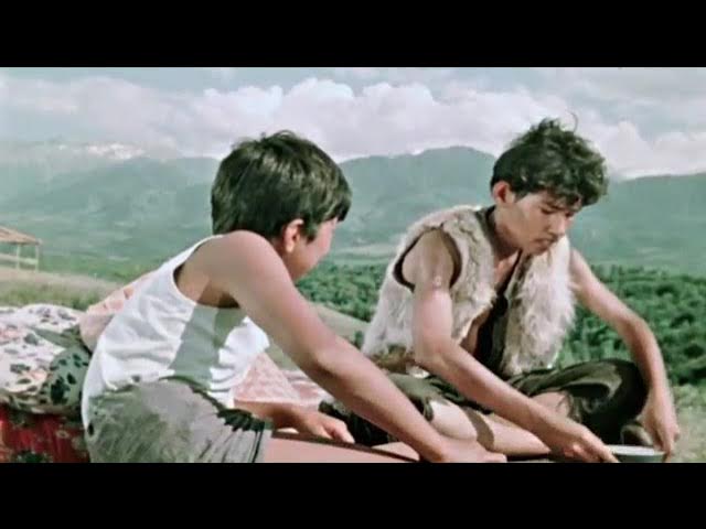 Бірі екіншісін пизда орысша видеоны жалауға мәжбүрледі